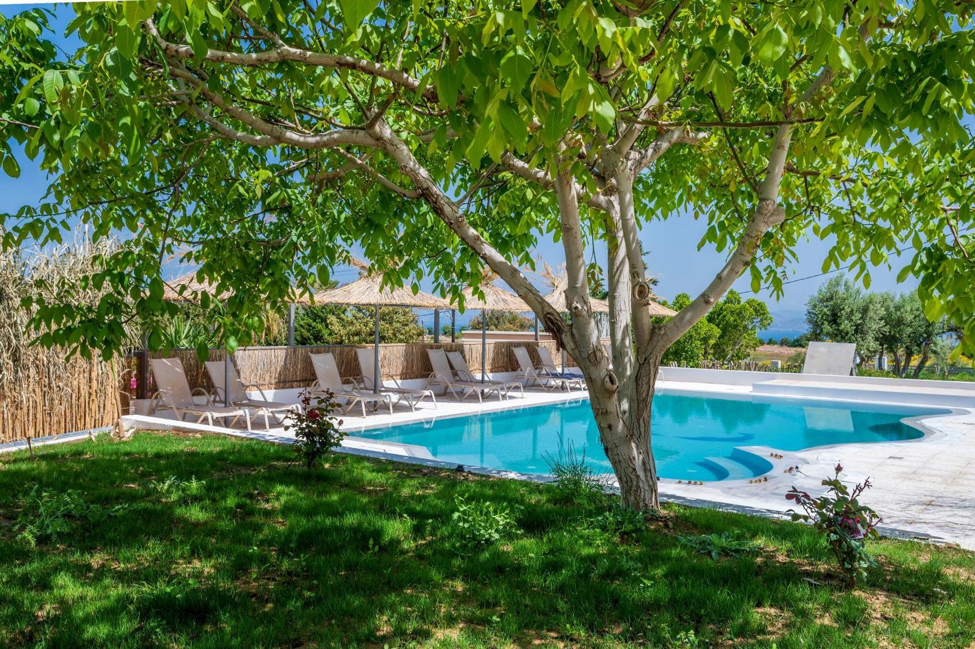 Homes Eva'S Garden, Poolside Cozy Havens In Kos Agios Dimitrios  外观 照片